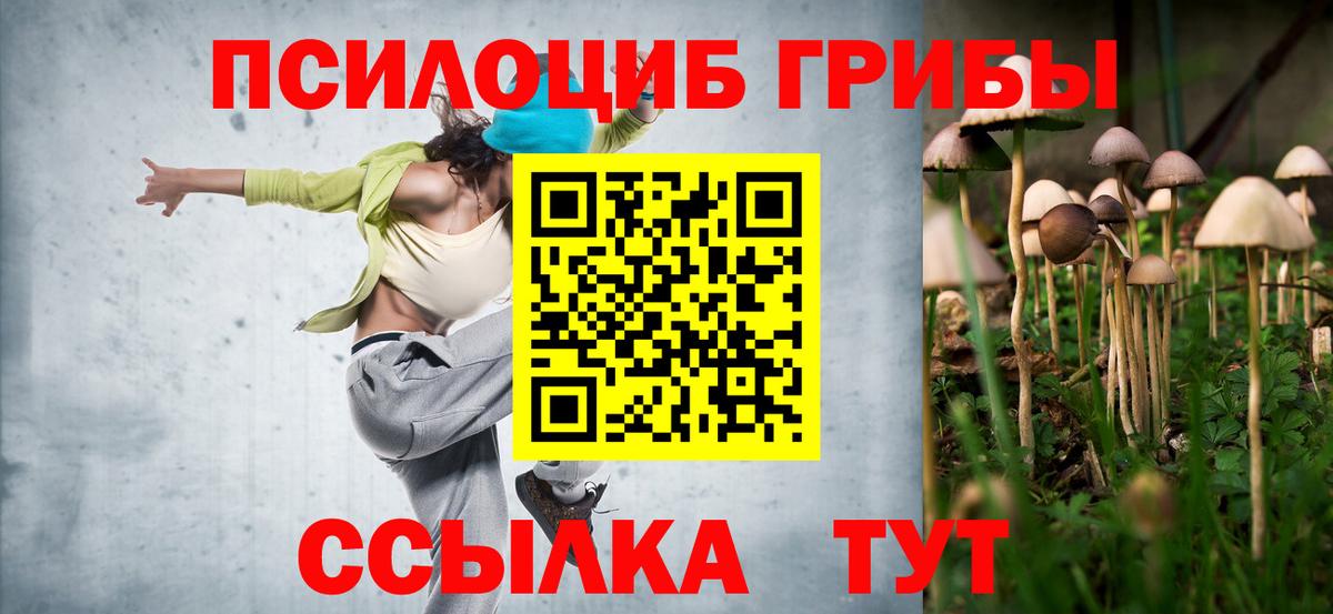 Псилоцибиновые грибы MAGIC MUSHROOMS  Вход с VPN  Майкоп 